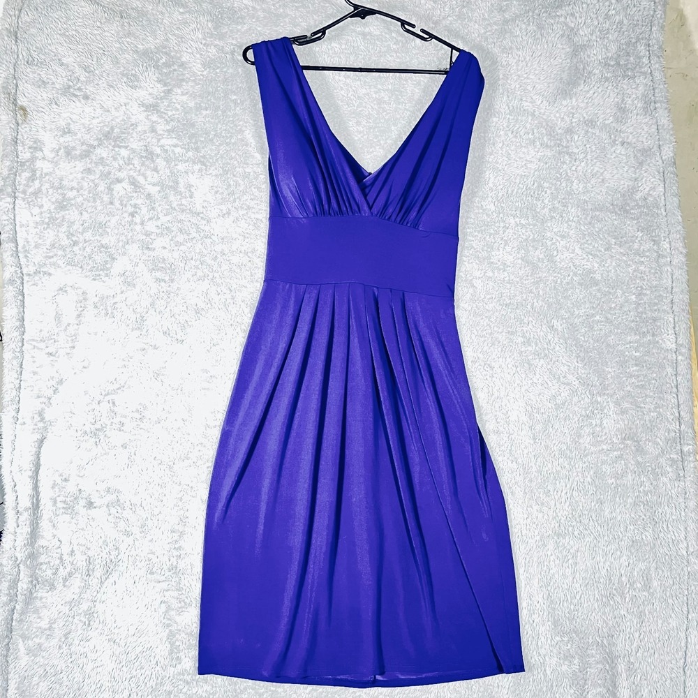 Allen B. by Allen Schwartz Fit & Flare Dress 12 Womens Purple Stretch Pullover